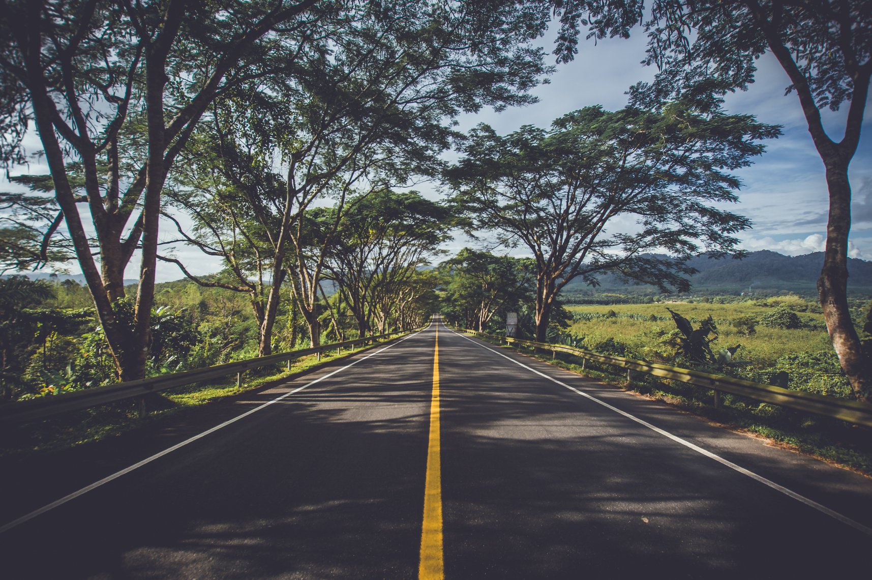 A Road to The Horizon